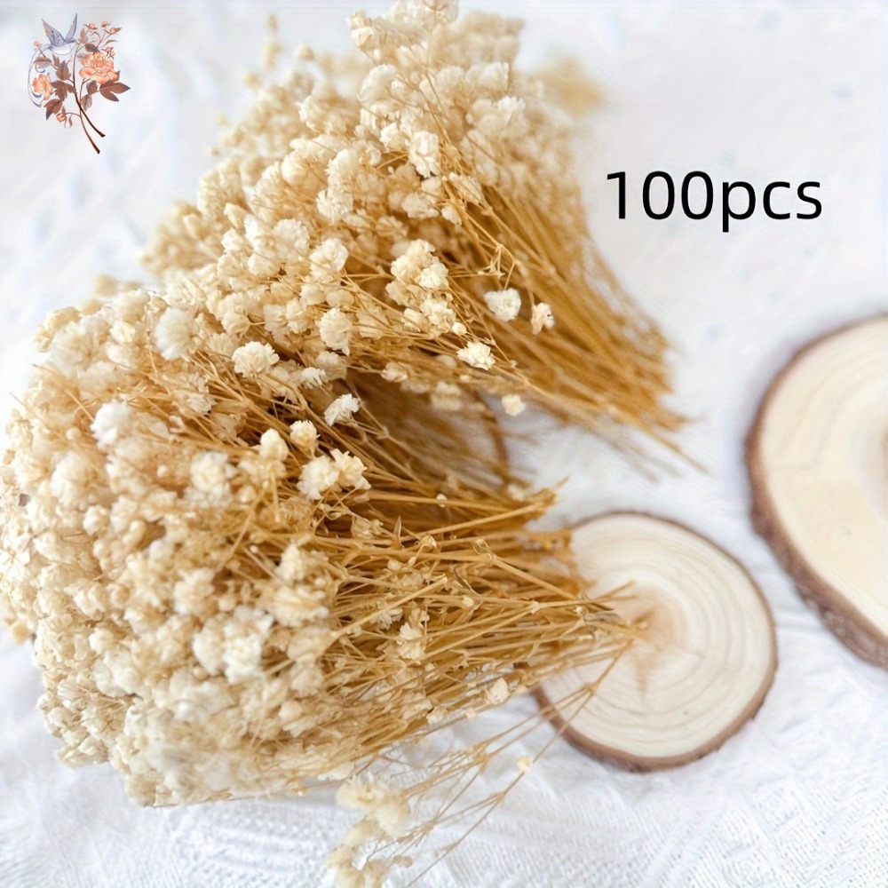100pcs Mini Dried Baby's Breat - đánh giá và giá Embellish Craft